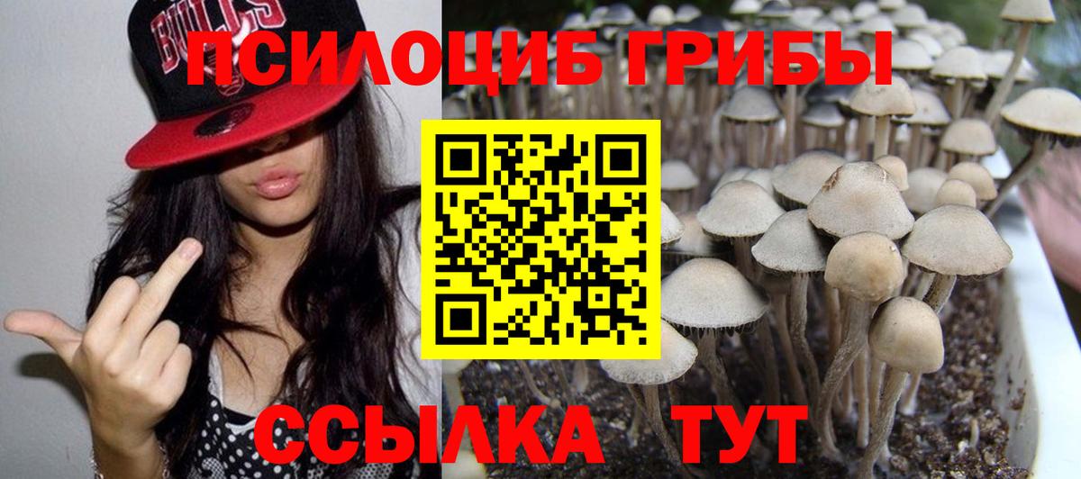Псилоцибиновые грибы MAGIC MUSHROOMS Тольятти